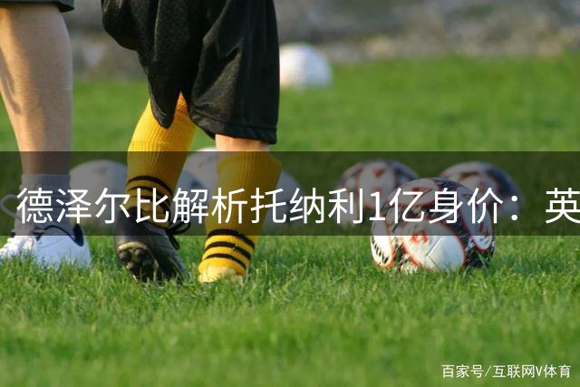 德泽尔比解析托纳利1亿身价：英超转会市场的价值规律