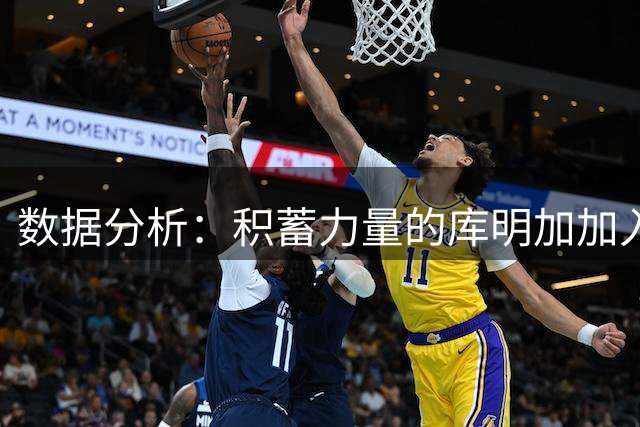 数据分析：积蓄力量的库明加加入森林狼能平替兰德尔吗？